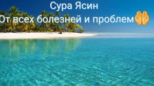 Сура Ясин от всех болезней и жизненных проблем