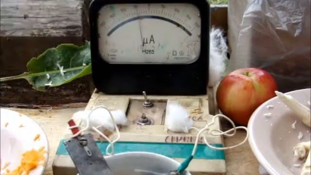 Живая вода из моркови смотреть онлайн