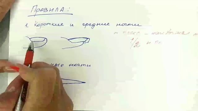 Секреты архитектуры ногтевой пластины. смотреть онлайн