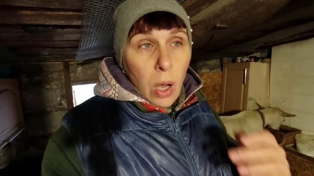 Какая польза государству? Разговор по душам и не только