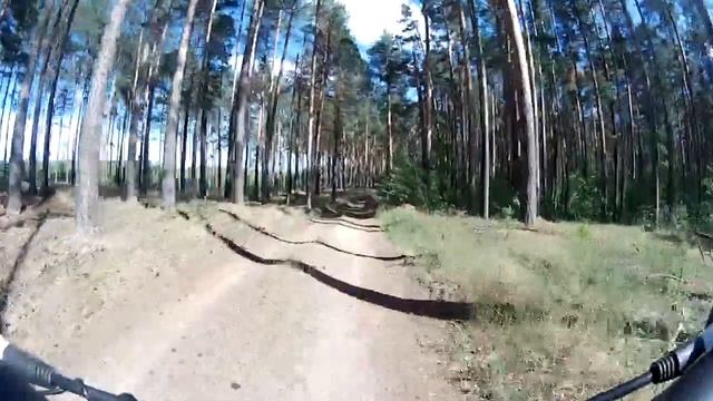 По лесу смотреть онлайн