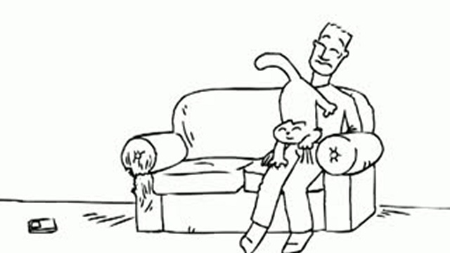 Cats