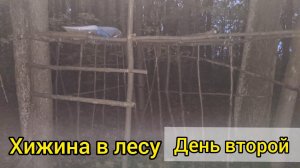 Хижина в лесу, моя давняя мечта. День второй