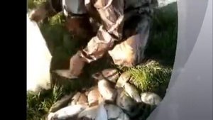 Рыбалка на Маныче.
