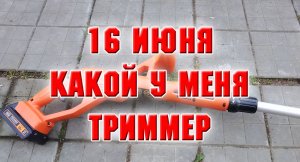 16 июня. На даче. Ирисы цветут и пахнут. Какой у меня триммер.mp4