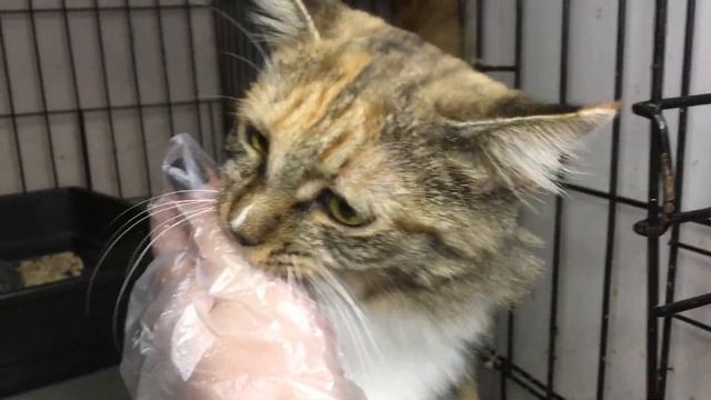 Данара (уже дома) смотреть онлайн