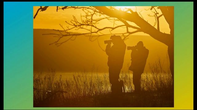 Сладков Н Лесные оборотни смотреть онлайн