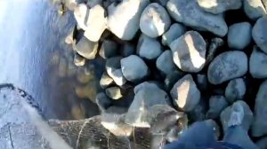 Канонерский остров. СПб. Ловим леща на фидер. Зачетный судак выловлен ребятами.