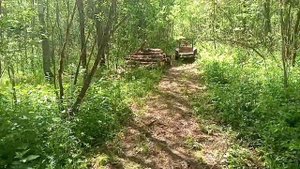 Заготовка валежника мотоблоком, а оно надо?