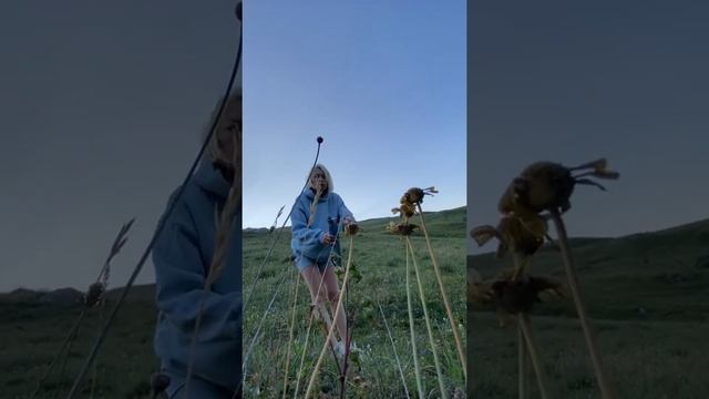 Дигория, она же Нарния, она же невероятная Осетия.