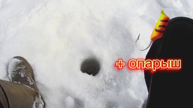 Зимняя Рыбалка на мормышку на  реке Лебедь . Безмотылка .