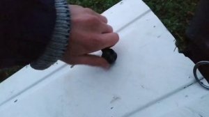 Минитрактор из мотоблока МТЗ 06мкр