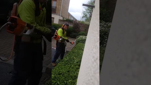 Stihl hla 85 review смотреть онлайн