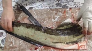 Как Разделать Крупного Налима Быстро, Просто и Легко!