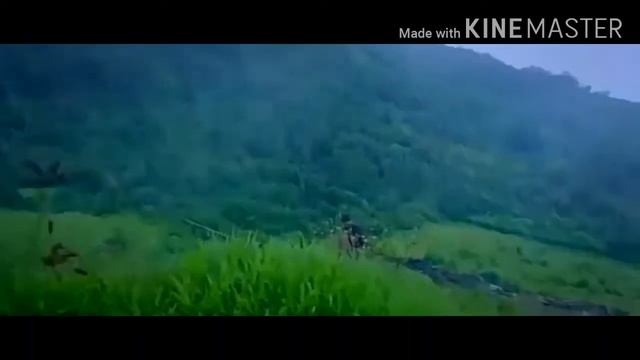 jaise barish karde tar song смотреть онлайн