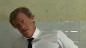 Профессионал 1981