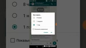 Как отключить звук в приложении WhatsApp