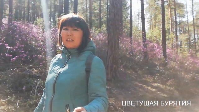 Расцвёл Багульник смотреть онлайн