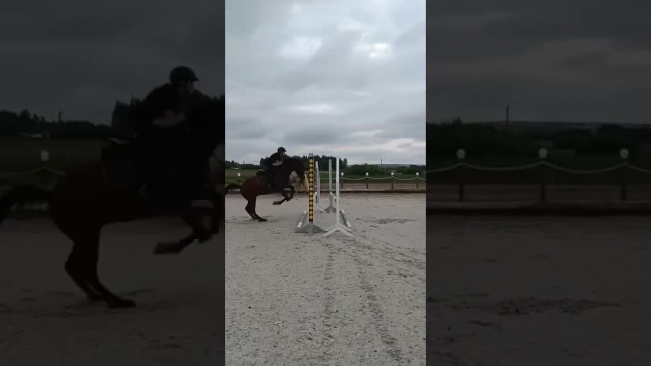 Литтел Чакко Блю - наша новая лошадь смотреть онлайн