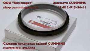 Сальник коленвала задний CUMMINS 3968563