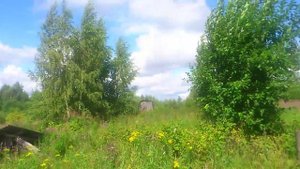 Заброшенная деревня. Костромская область.