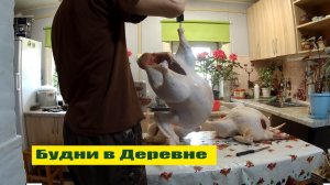 Пополнили "продуктовую корзину"  индейкой, про кур, огород, септик и Вирджинию 202!