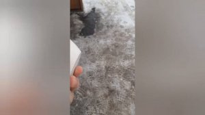 Первый опыт работы со строительным гипсом (алебастром)