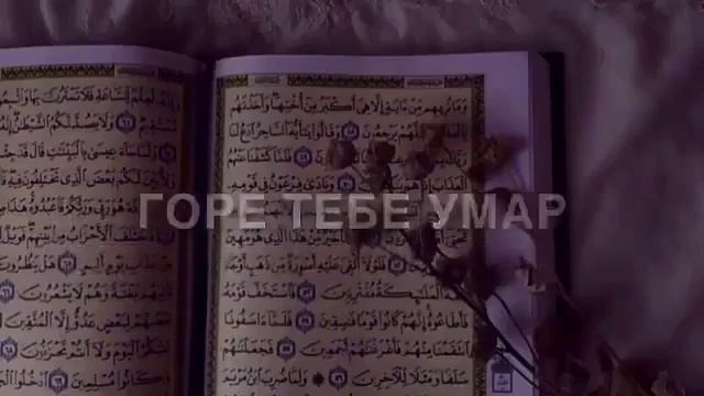 Умар Ибн Аль Хаттаб вырал себе могилу у себя дома