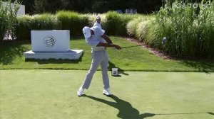 Tiger Woods | Swing Theory | Driver, iron, wedge