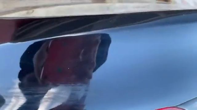 Toyota Camry V70 Тойота Камри 70 2017 КРЫШКА БАГАЖНИКА 2007589012835 смотреть онлайн