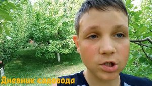 РЕЗУЛЬТАТ ВЧЕРАШНЕЙ ОБРАБОТКИ БУРЬЯНА РАСТВОРОМ УКСУСА, СОЛИ И МОЮЩЕГО СРЕДСТВА