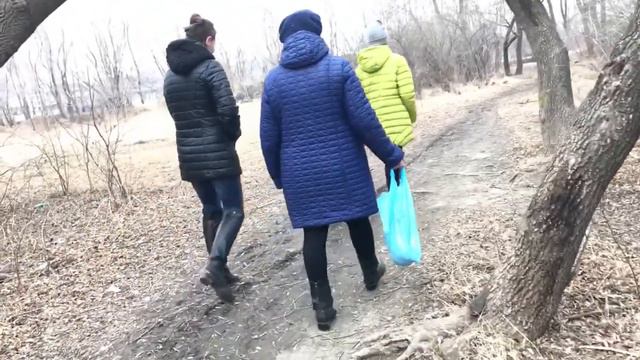 пошли за вербой смотреть онлайн