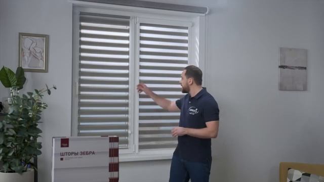 Рулонные шторы Зебра, День Ночь Amigo