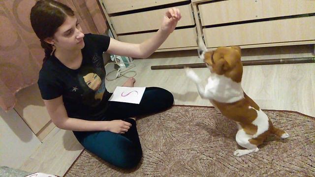 Бони учиться читать смотреть онлайн