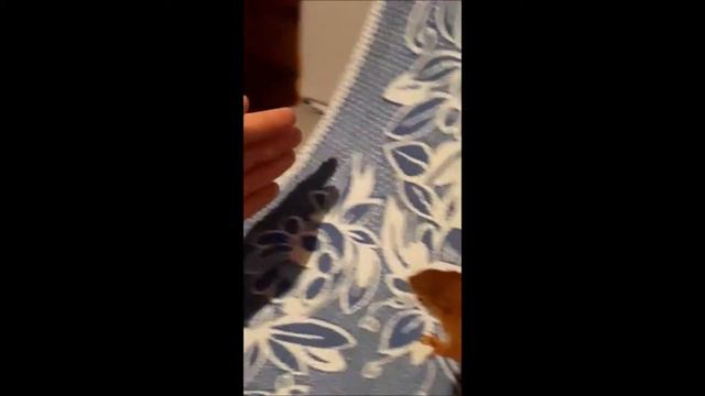 Травма позвоночника смотреть онлайн