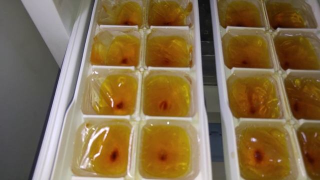 Что будет если заморозить Чаговый отвар смотреть онлайн