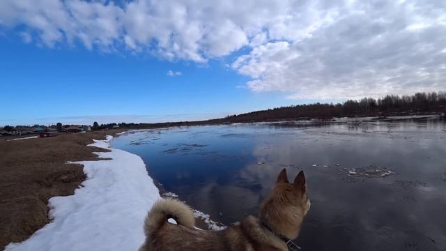 Жизнь в деревне. Поход к реке с приключением. смотреть онлайн