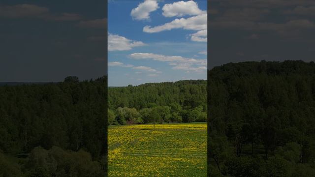 Flying over the field. Полёт над полем #shorts