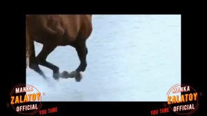 Толя Баленгиро - Не могу мэ - больше жить - 2022new