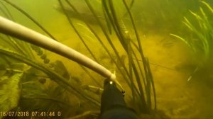 Подводная охота. Река Воронеж. Щучье место...