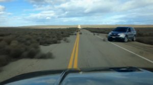 Перекати-поле атакует улицы