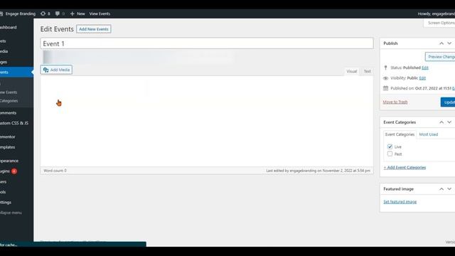 How to edit a custom post in WordPress