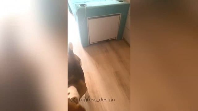 #отзыв комната для школьника мебель-трансформер смотреть онлайн