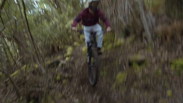 2023 Polygon Collosus N9 - Release the Beast смотреть онлайн