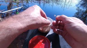 КАК ловить карася весной на поплавок. Секреты ловли.