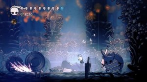 Pantheon of Hallownest + Charms Binding | Hollow Knight