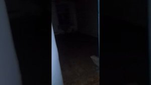 Заброшенный мечеть