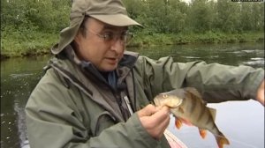 Рыбалка на реке Поной. В поисках клева 6