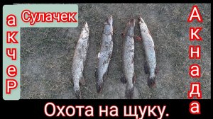 Рыбалка в Дагестане. Охота-на-щуку. Акнада. Речка Сулачек.mp4