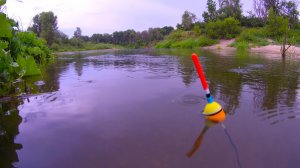 ЭТИ РЫБЫ клюют в дождь. Рыбалка 23 июля на поплавок